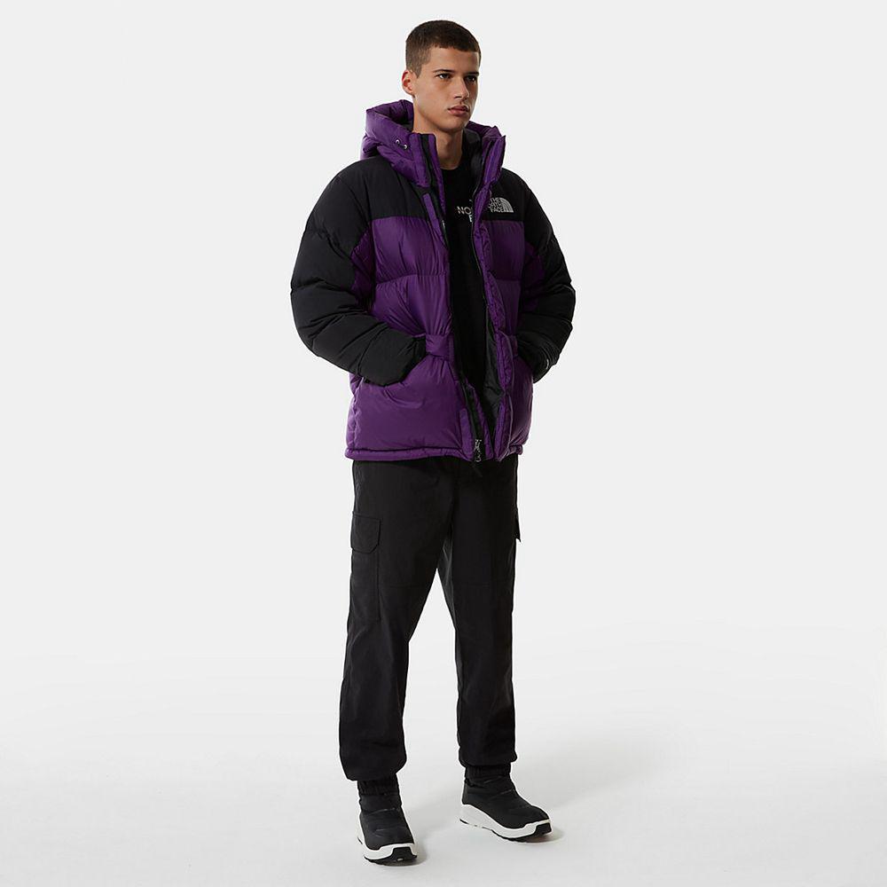 The North Face Karakash Cargo Ανδρικα Παντελόνι - Μαυρα (YPHB16273)